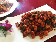 -天厨妙香素食餐厅(清华店)