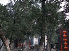 -关林