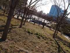 -西海子公园