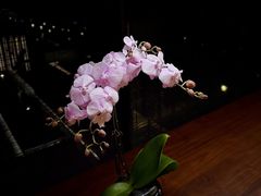 -北京SKP