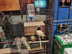 -玉桥餐厅(天坛店)