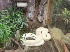 -上海大自然野生昆虫馆(东方明珠·爬宠昆虫探索中心)