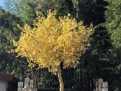 -红螺寺