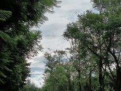 -西昌邛海湿地