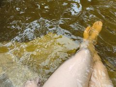 -水底山庄园温泉