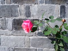 -前童古镇