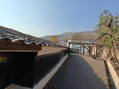-鲁菜根·泰山菜(泰山店)
