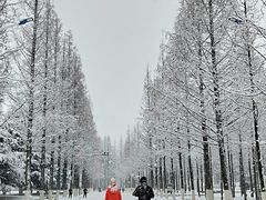 -大连理工大学(凌水校区)