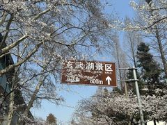 -鸡鸣寺