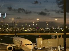-上海浦东国际机场-T2航站楼