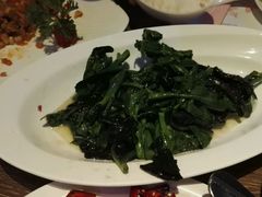 -蝴蝶汇音乐酒馆(罗湖店)