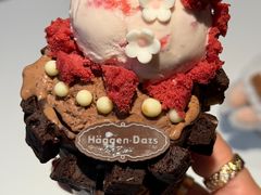 -哈根达斯(大洋百货店)