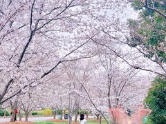 -自然谷恐龙园