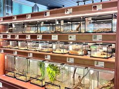 -帕帕拉兹宠物(亚洲旗舰店)