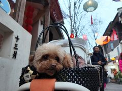 -小河直街历史文化街区