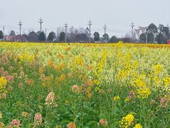 -中国天府农业博览园