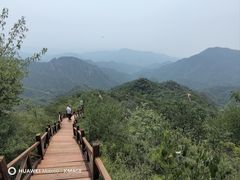 -大岭沟猕猴桃谷风景区