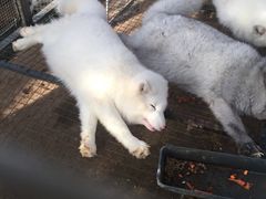 -万源龙顺度假庄园生态观光园