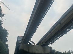 -米氏火鱼·泡椒鱼火锅(李子坝老店)