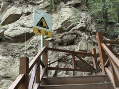 -大岭沟猕猴桃谷风景区