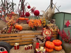 -中国天府农业博览园