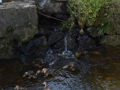 -小格里自然风景区