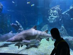 -暹罗海洋世界