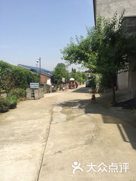蓝顶青年艺术村图片 - 第7张