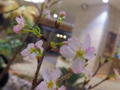 -1/4 ONE QUARTER COFFEE LAB(朝阳大悦城店)