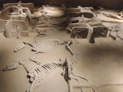 -洛阳周王城天子驾六博物馆