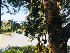 -森波拉奇妙世界