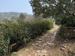 -东山风景区(洞庭东山)