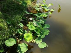 -东郊湿地公园
