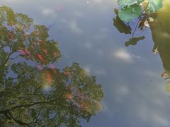 -瀛洲公园
