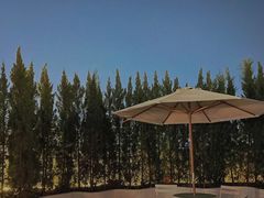-Blue Concept Cafe&Farm·關於藍