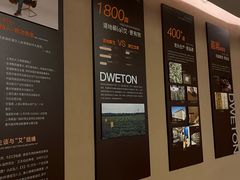 -端艾堂·SPA·艾灸(棕榈泉013店)