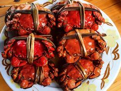 -水岸居湖景农家乐·阳澄湖大闸蟹