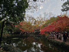 -秋霞圃