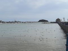 -李沧绿城喜来登酒店大堂吧