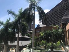 -三亚湾红树林度假世界(木棉酒店)