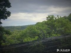 -西山樟坞健康果园枇杷杨梅采摘