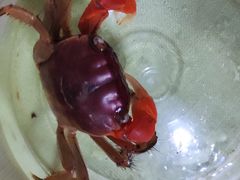 -双季花艺园艺市场(浦东店)