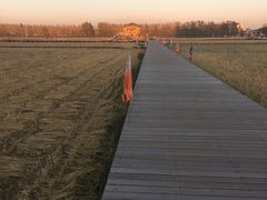 -陆地游轮吉林神农温泉