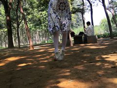 -秀水公园