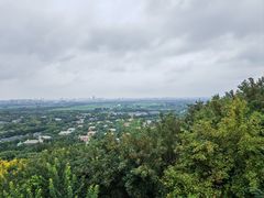 -上海佘山国家森林公园西佘山园