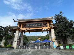 -南宁良凤江国家森林公园