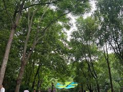 -五凤溪古镇