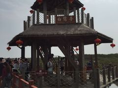 -北海金海湾红树林生态旅游区