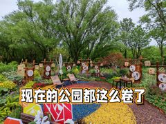 -济南森林公园
