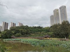 -龙头寺公园